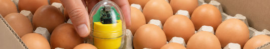 CracklessEgg Introduces Transport Mode: A New Transportation Monitoring Feature