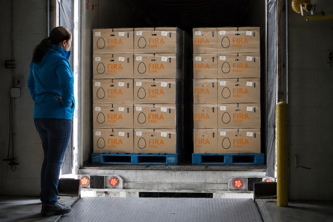 Beyond the Farm: Understanding Egg Handling During Transportation