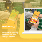 Graphic mockup of the CracklessEgg app in use