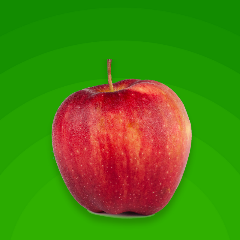 Apple Casing (Large)
