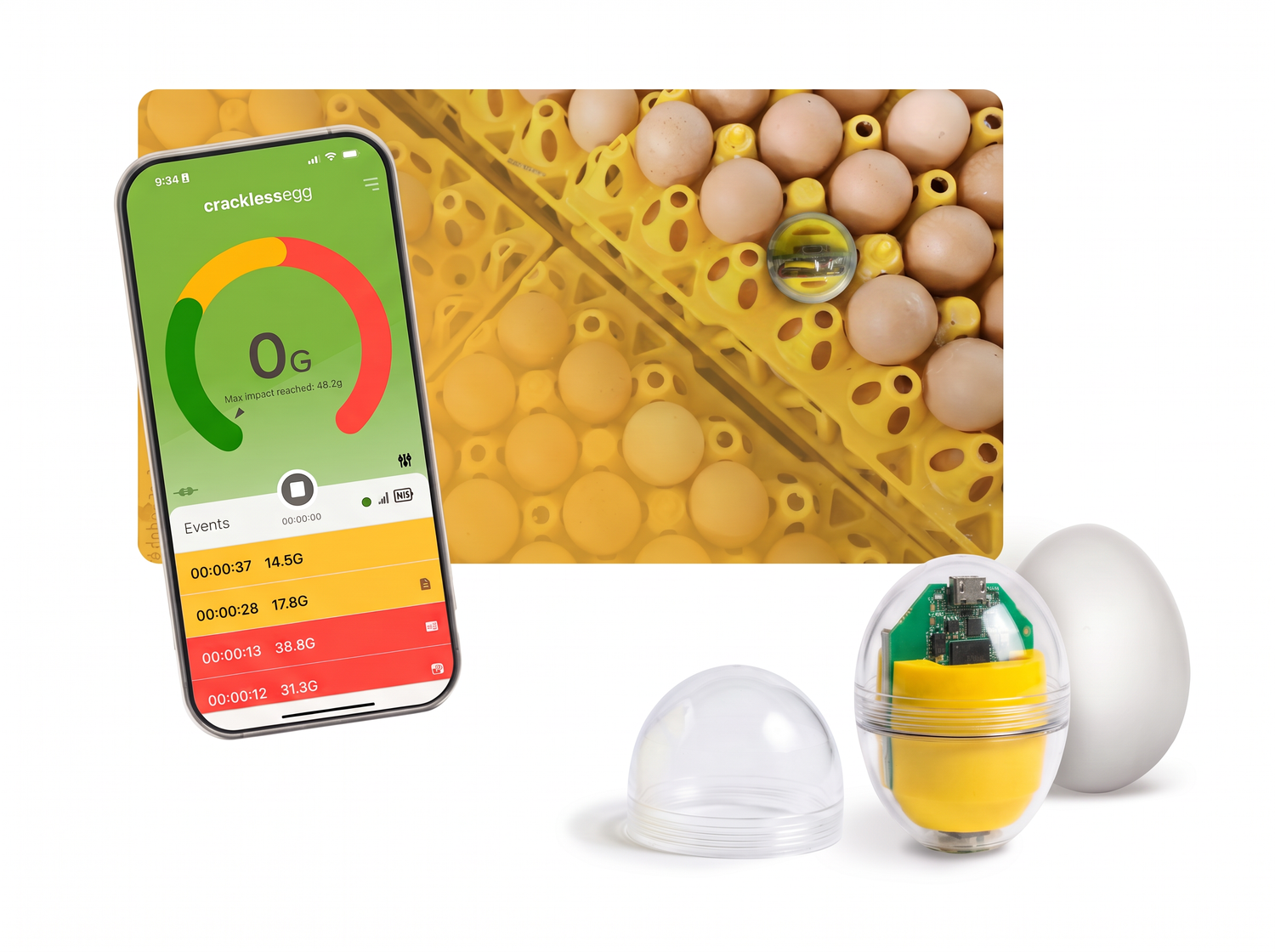 CracklessEgg transparent egg sensor with mobile app dashboard shown alongside a real egg and egg tray during commercial egg handling.