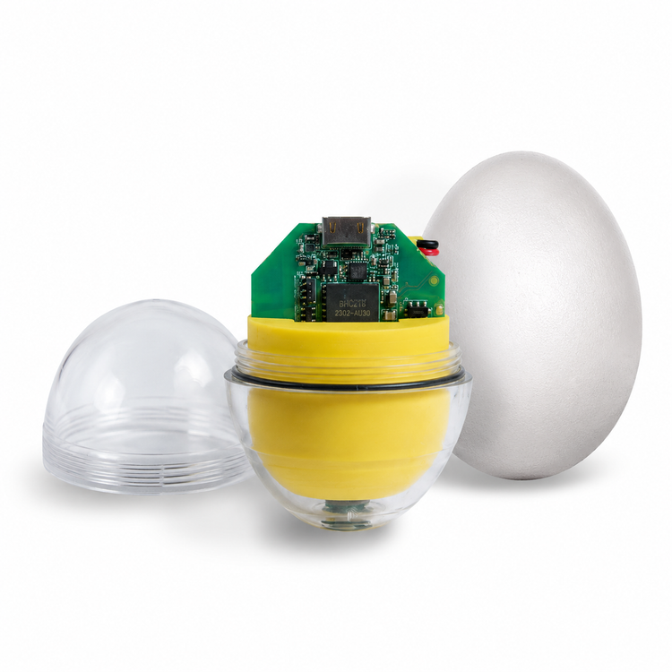 Open CracklessEgg transparent egg sensor with internal electronics beside a real egg and transparent sensor shell.