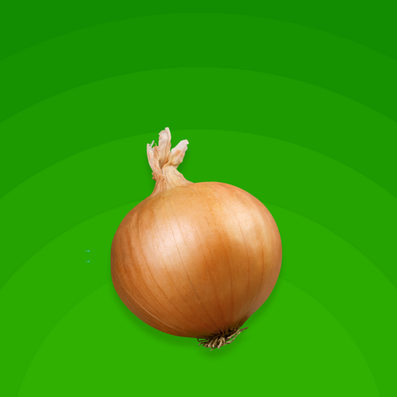 Onion Casing