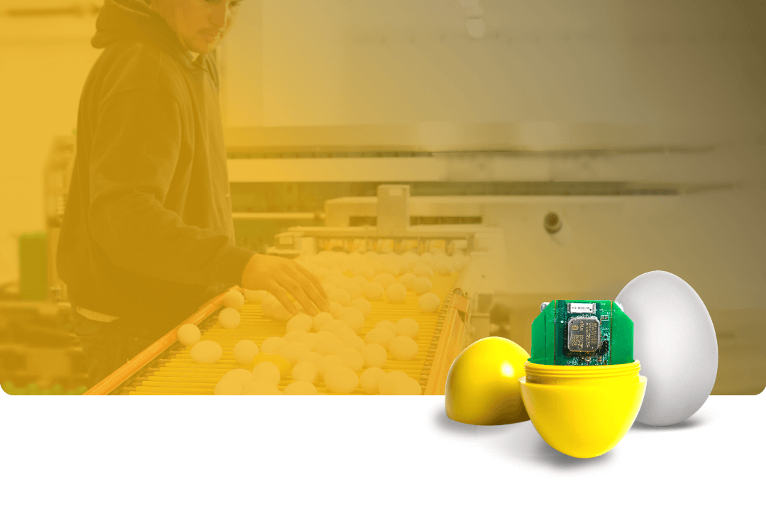 Yellow background image of a farmer sorting egg on a table with CracklessEgg sensor overlayed on the bottom right