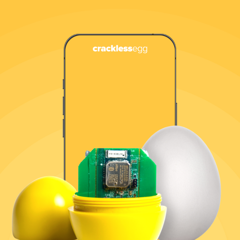 CracklessEgg System